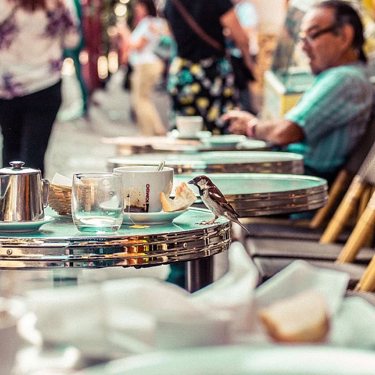 Les enjeux des restaurants : une plongée dans les défis quotidiens