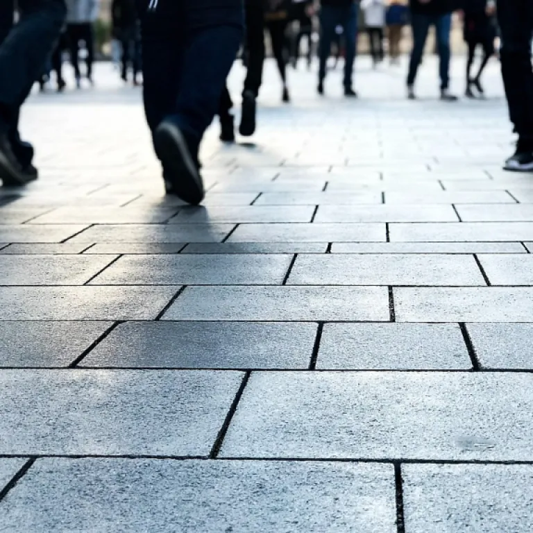 Comment élaborer un plan de maîtrise sanitaire : exemple concret pour la restauration